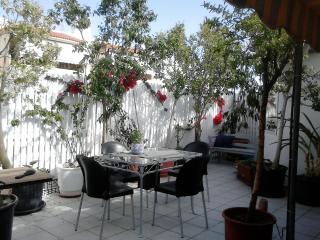 Roof-top garden apartment really well located in Athens - 9