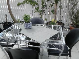 Roof-top garden apartment really well located in Athens - 4