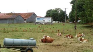 Ferienwohnung auf dem Lechsberg - 4