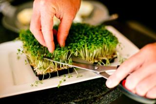 Hotel Birkenhof am See - 4