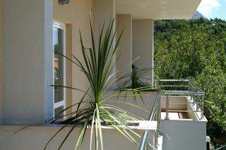 Apartments Antonio - Tučepi - 8