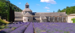 Au bastidon de Gordes - Gordes - 5