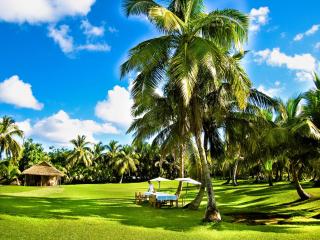 Princesse Bora Lodge & Spa - Sainte Marie - 3