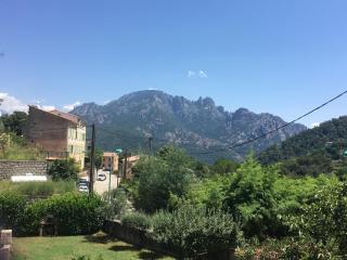 Petite maison proche de la nature - Vico - 8