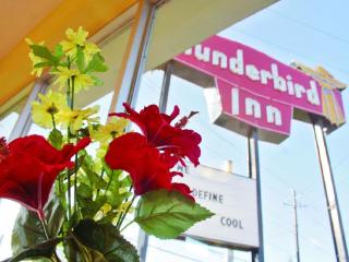The Thunderbird Inn - Savannah - 6