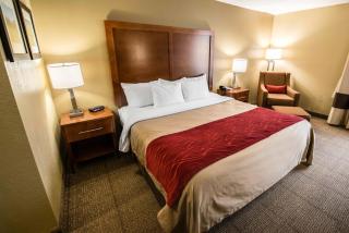Spark by Hilton Wytheville Holston Rd I 81 - Wytheville - 2