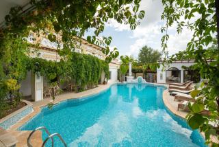 Villa Pontica - Mamaia Nord – Năvodari - 5