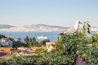 L'isola Guesthouse - Heybeliada - 5