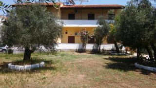 Thaleia Studios & Apartments - Kavos - 8