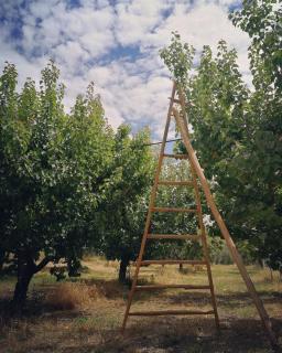 Masseria Marico - 2