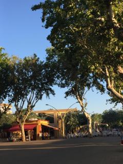 APARTAMENTOS EN ALAMEDA DE HERCULES SEVILLa - Sevilha - 5