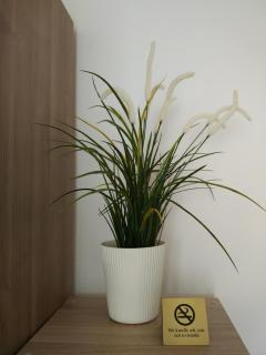 HAUSBURG studio. City view - Augsbourg - 5