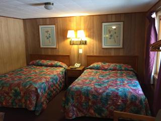 Elmwood Motor Lodge - Boscawen - 4