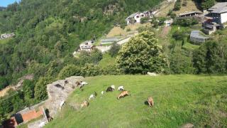 Agriturismo Fiorendo - 7