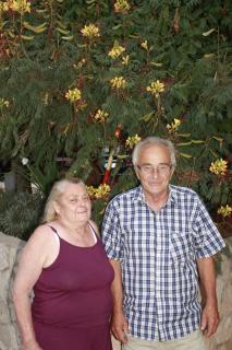 Toni i Kristina - 5