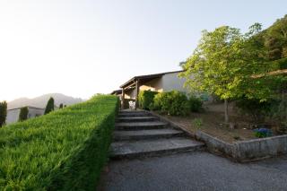 Sarl Aurore-Vacances - Vico - 7