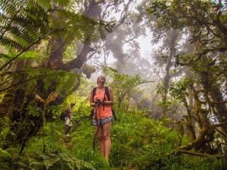 Sarinbuana Eco Lodge - 2
