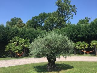 Villa Althea - Ronago - 3