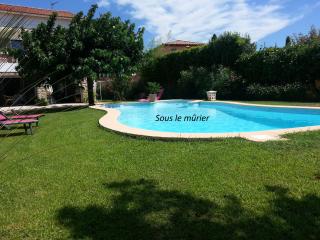 Sous le mûrier - Six-Fours-les-Plages - 0