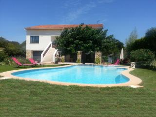 Sous le mûrier - Six-Fours-les-Plages - 9