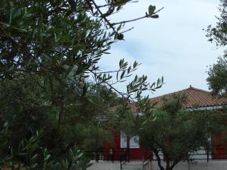 Zante Green View - Ambelókipoi - 9