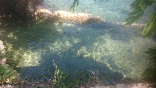 Blue Monkey Beach Cottages - Wasini - 9