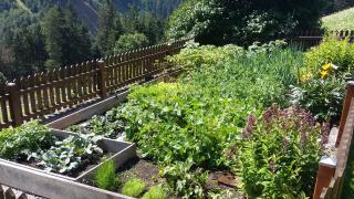 Doadlerhof - Neustift im Stubaital - 8