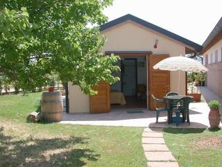 Agriturismo Podere San Michele - San Vincenzo - 2