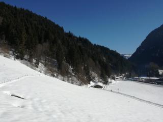 Landhaus Servus - Viehhofen - 6