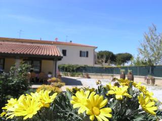 Agriturismo Podere San Michele - San Vincenzo - 1