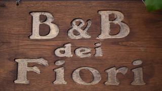 B&B dei Fiori - Praia a Mare - 7