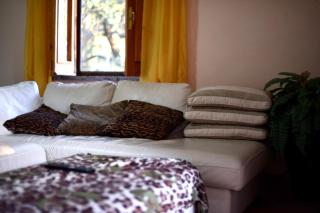 B&B dei Fiori - Praia a Mare - 5