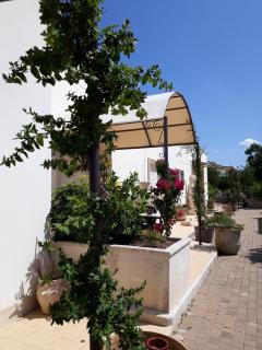 Almacanto B&B - Tuglie - 7