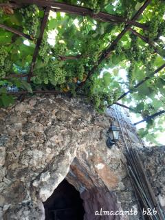 Almacanto B&B - Tuglie - 5