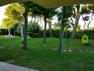 B&B Il Parco Dei Pini - Giulianova - 7