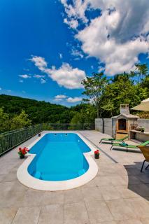 Forest House Silva - Hrvace - 5