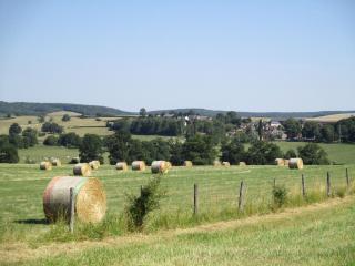 "Le Jardin de Zola", Longère XIXème en BOURGOGNE, grand jardin - 1