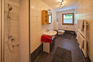Apartment Oberbichl - Ramsau im Zillertal - 1
