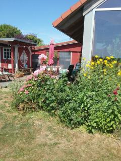 ostseeurlaub-asmussen - Gelting - 5