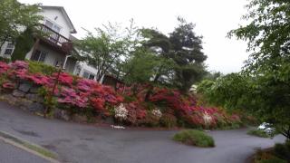 Daecheon Ocean Hill Pension - Boryeong - 0