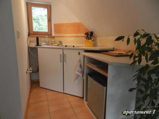 Apartamencik z Widokiem Na Giewont - Zakopane - 8