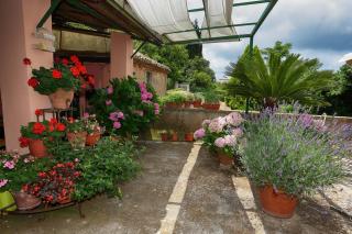 Bed and Breakfast di Francia - Vibo Valentia - 7