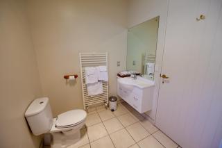 Alpine Peaks Apartment - 3