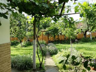Divna Guest House - Krushuna - 1