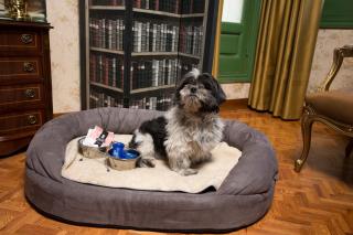 Casual del Teatro Madrid - 2