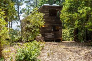 Redwood Grove - 8