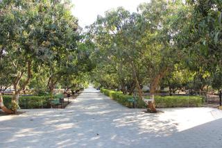 Gir Jungle Lodge - 6