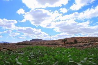 MONTAÑA VALLES DE ORTEGA -D - 1