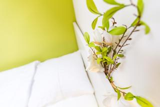 Work & stay apartments DD - Düsseldorf - 1