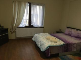 Casa in zona linistita, Campia Turzii - Câmpia Turzii - 1